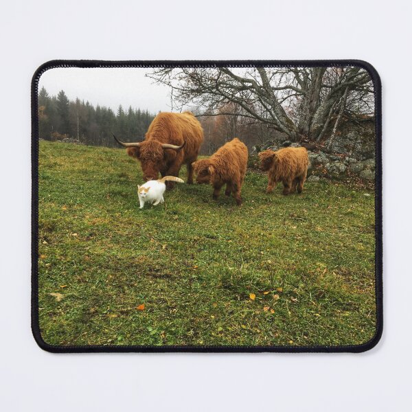 Item preview, Scottish Highland Cattle Calves and Cat 1838 designed and sold by SaarelaHighland.