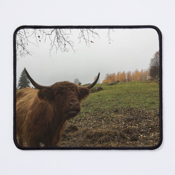 Item preview, Scottish Highland Cattle Cow 1835 designed and sold by SaarelaHighland.