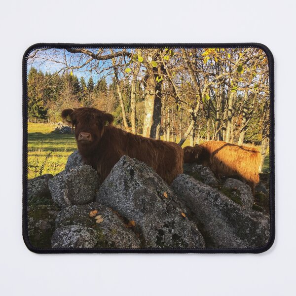 Item preview, Scottish Highland Cattle Calf 1834 designed and sold by SaarelaHighland.