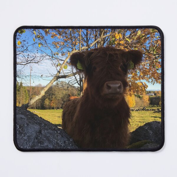 Item preview, Scottish Highland Cattle Calf 1833 designed and sold by SaarelaHighland.