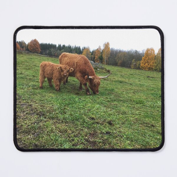 Item preview, Scottish Highland Cattle Cow and Calf 1832 designed and sold by SaarelaHighland.