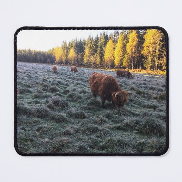 Item preview, Scottish Highland Cattle Cows 1829 designed and sold by SaarelaHighland.