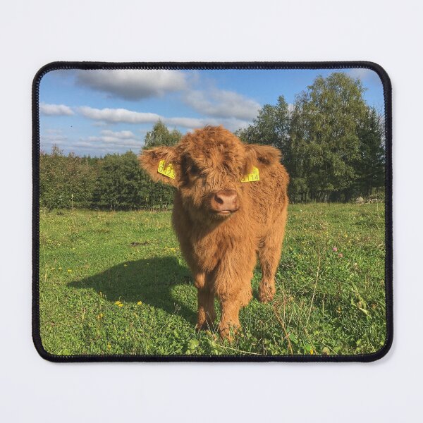 Item preview, Scottish Highland Cattle Calf 1824 designed and sold by SaarelaHighland.