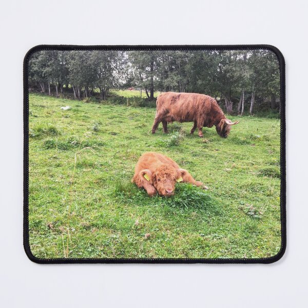 Item preview, Scottish Highland Cattle Calf 1822 designed and sold by SaarelaHighland.