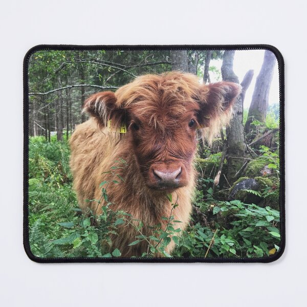 Item preview, Scottish Highland Cattle Calf 1820 designed and sold by SaarelaHighland.
