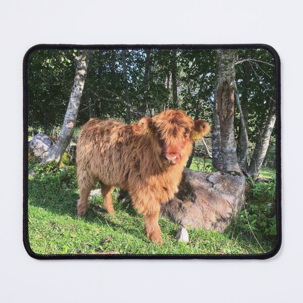 Item preview, Scottish Highland Cattle Calf 1815 designed and sold by SaarelaHighland.