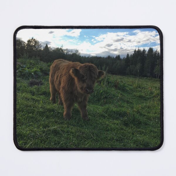 Item preview, Scottish Highland Cattle Calf 1806 designed and sold by SaarelaHighland.