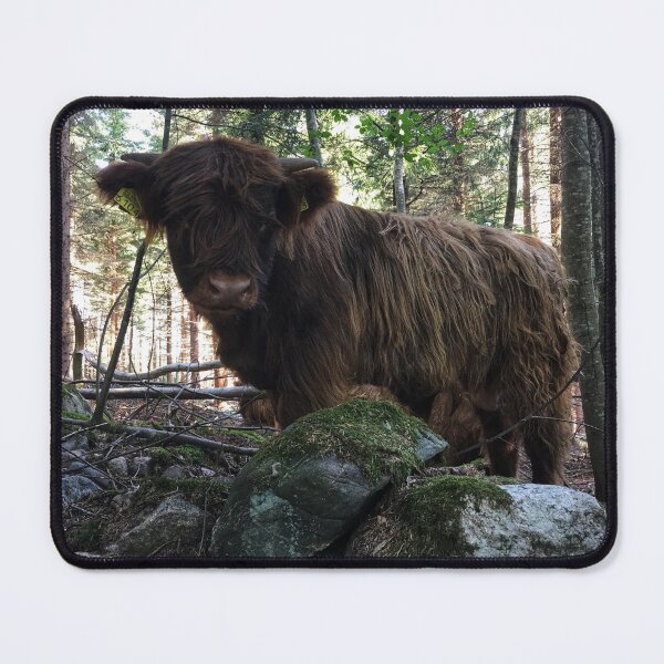 Item preview, Scottish Highland Cattle Calf 1802 designed and sold by SaarelaHighland.