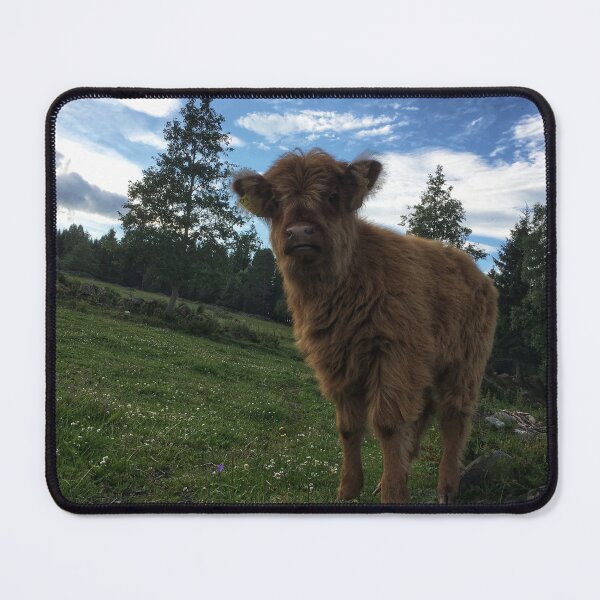 Item preview, Scottish Highland Cattle Calf 1799 designed and sold by SaarelaHighland.