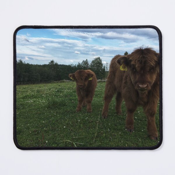 Item preview, Scottish Highland Cattle Calves 1797 designed and sold by SaarelaHighland.