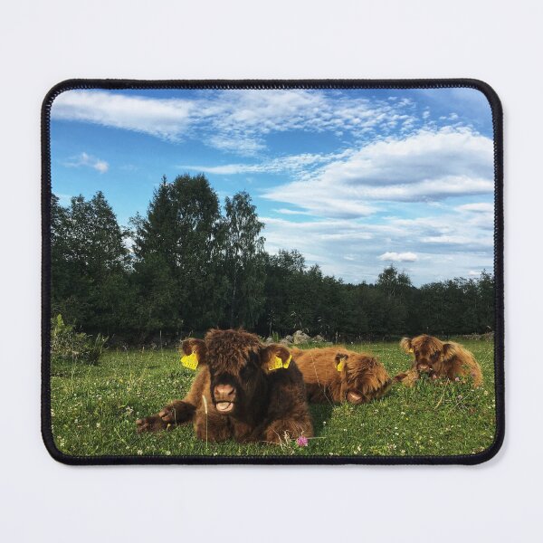 Item preview, Scottish Highland Cattle Calves 1796 designed and sold by SaarelaHighland.