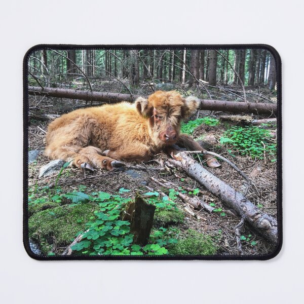 Item preview, Scottish Highland Cattle Calf 1795 designed and sold by SaarelaHighland.