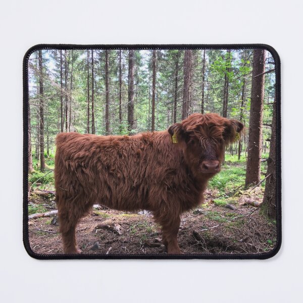 Item preview, Scottish Highland Cattle Calf 1794 designed and sold by SaarelaHighland.