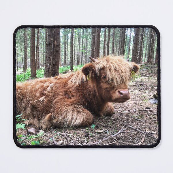 Item preview, Scottish Highland Cattle Calf 1793 designed and sold by SaarelaHighland.