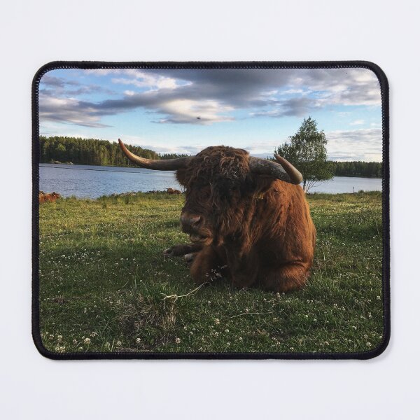 Item preview, Scottish Highland Cattle Bull 1792 designed and sold by SaarelaHighland.
