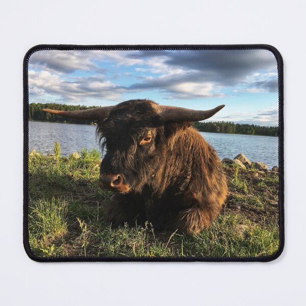 Item preview, Scottish Highland Cattle Bull 1791 designed and sold by SaarelaHighland.