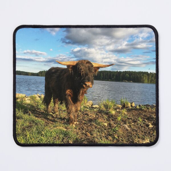 Item preview, Scottish Highland Cattle Bull 1789 designed and sold by SaarelaHighland.