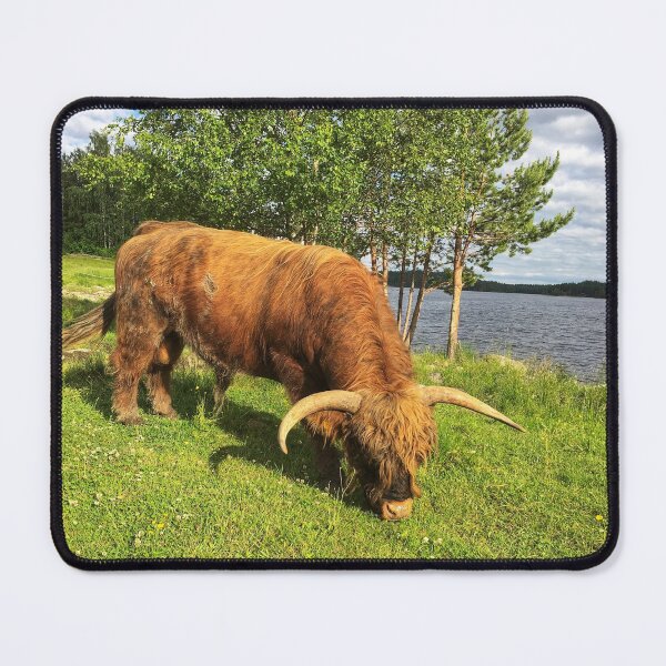 Item preview, Scottish Highland Cattle Bull 1787 designed and sold by SaarelaHighland.