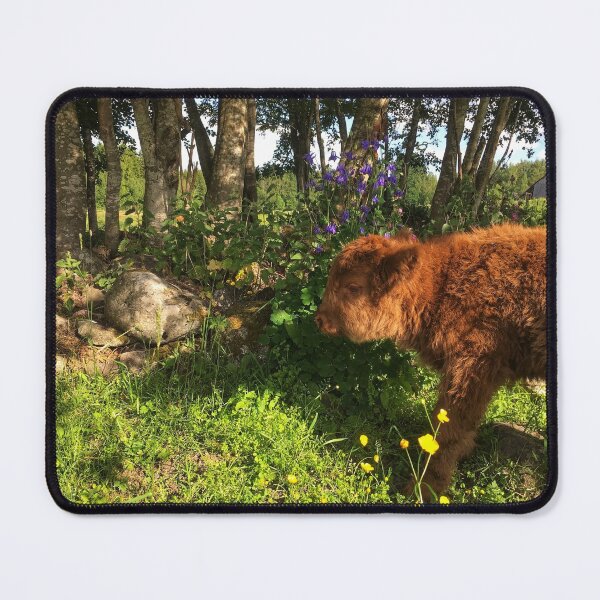 Item preview, Scottish Highland Cattle Calf 1782 designed and sold by SaarelaHighland.