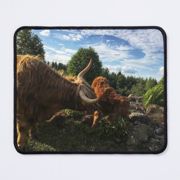 Item preview, Scottish Highland Cattle Calf 1780 designed and sold by SaarelaHighland.