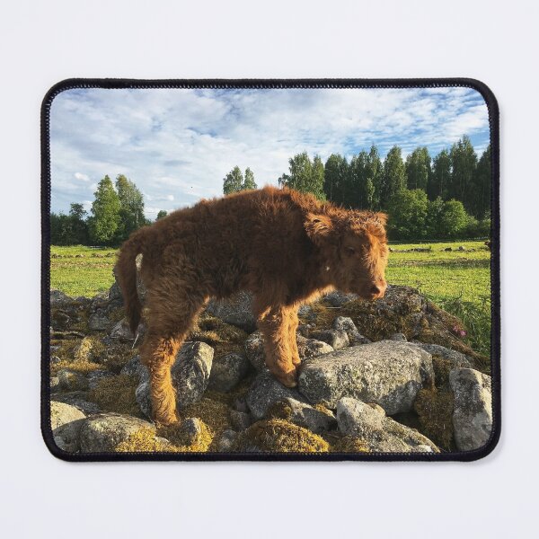 Item preview, Scottish Highland Cattle Calf 1779 designed and sold by SaarelaHighland.