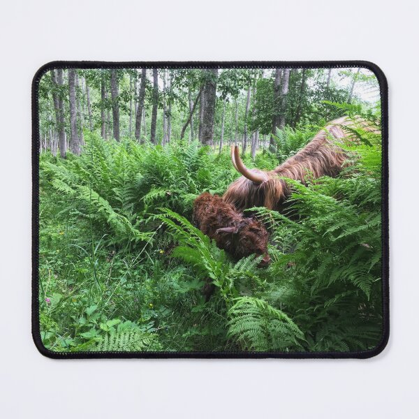 Item preview, Scottish Highland Cattle Calf 1778 designed and sold by SaarelaHighland.