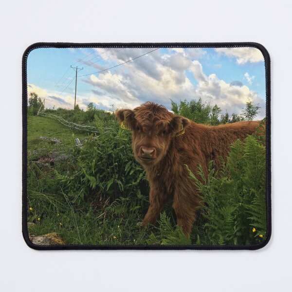 Item preview, Scottish Highland Cattle Calf 1773 designed and sold by SaarelaHighland.