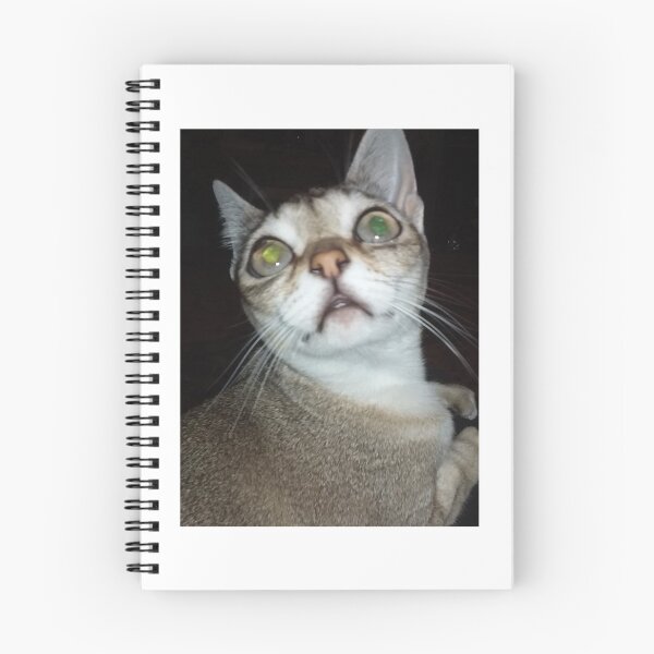 Item preview, Flash on Speedball  designed and sold by Cat-yawns.