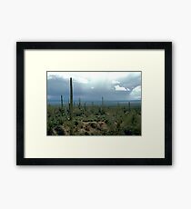Arizona Desert and Cactuses Framed Print