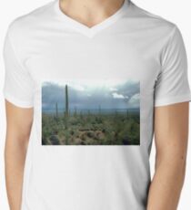Arizona Desert and Cactuses Men's V-Neck T-Shirt