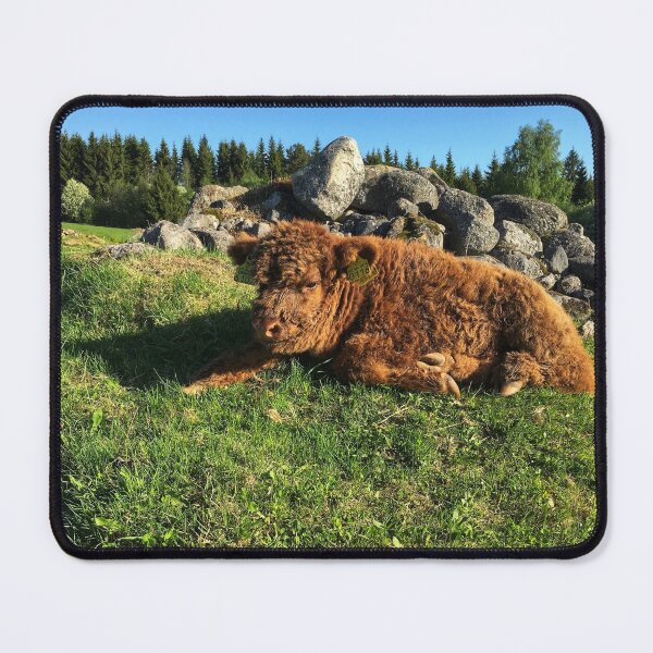 Item preview, Scottish Highland Cattle Calf 1759 designed and sold by SaarelaHighland.