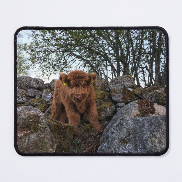 Item preview, Scottish Highland Cattle Calf 1758 designed and sold by SaarelaHighland.