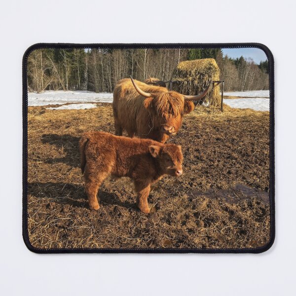Item preview, Scottish Highland Cattle Cow and Calf 1738 designed and sold by SaarelaHighland.