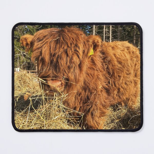 Item preview, Scottish Highland Cattle Calf 1730 designed and sold by SaarelaHighland.