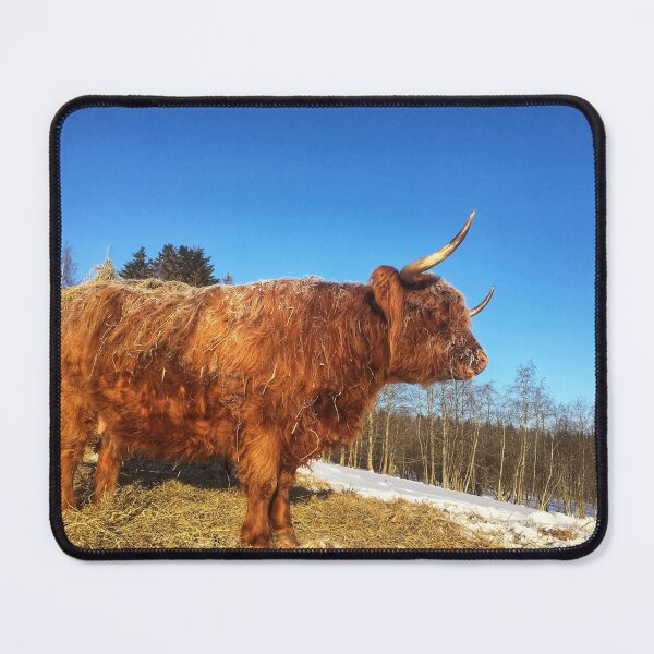 Item preview, Scottish Highland Cattle Cow 1693 designed and sold by SaarelaHighland.