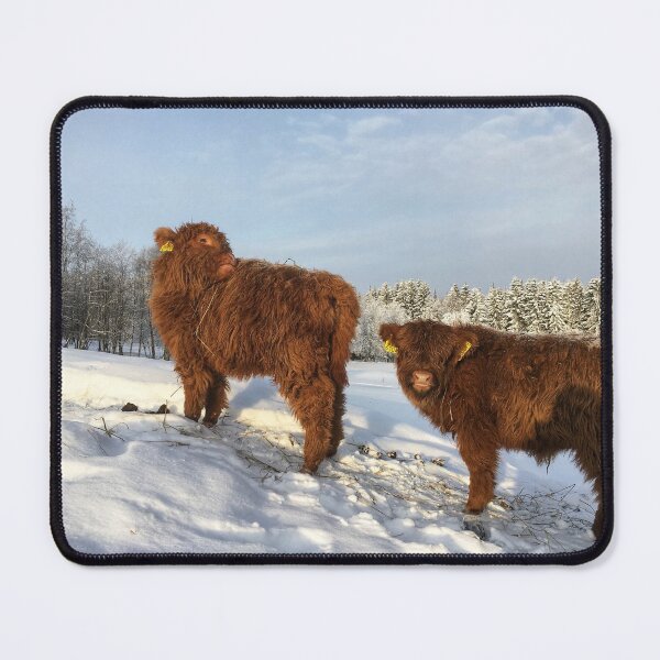 Item preview, Scottish Highland Cattle Calves 1666 designed and sold by SaarelaHighland.