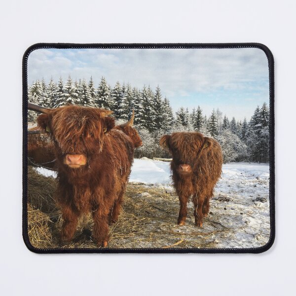 Item preview, Scottish Highland Cattle Calves 1664 designed and sold by SaarelaHighland.