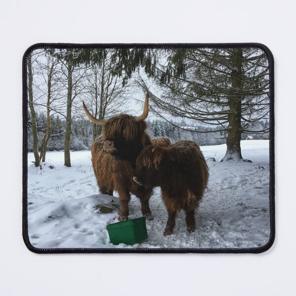 Item preview, Scottish Highland Cattle Cow and Calf 1648 designed and sold by SaarelaHighland.