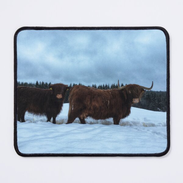 Item preview, Scottish Highland Cattle Cow and Calf 1637 designed and sold by SaarelaHighland.