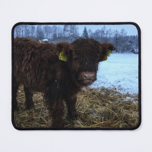 Item preview, Scottish Highland Cattle Calf 1635 designed and sold by SaarelaHighland.