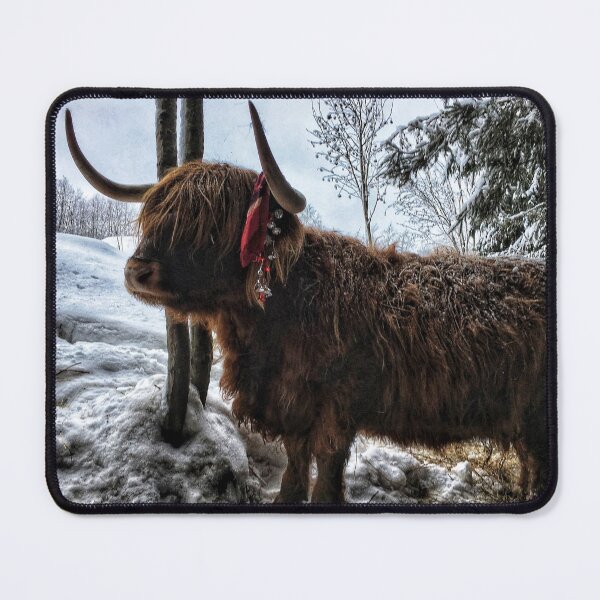 Item preview, Scottish Highland Cattle Cow 1633 designed and sold by SaarelaHighland.