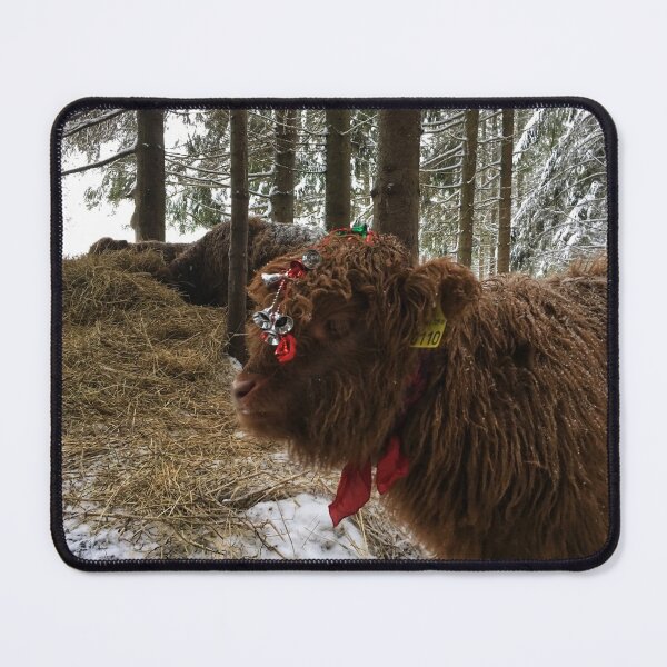 Item preview, Scottish Highland Cattle Calf 1631 designed and sold by SaarelaHighland.