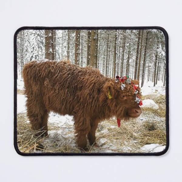 Item preview, Scottish Highland Cattle Calf 1630 designed and sold by SaarelaHighland.