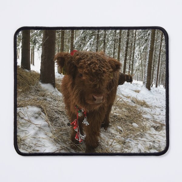 Item preview, Scottish Highland Cattle Calf 1629 designed and sold by SaarelaHighland.