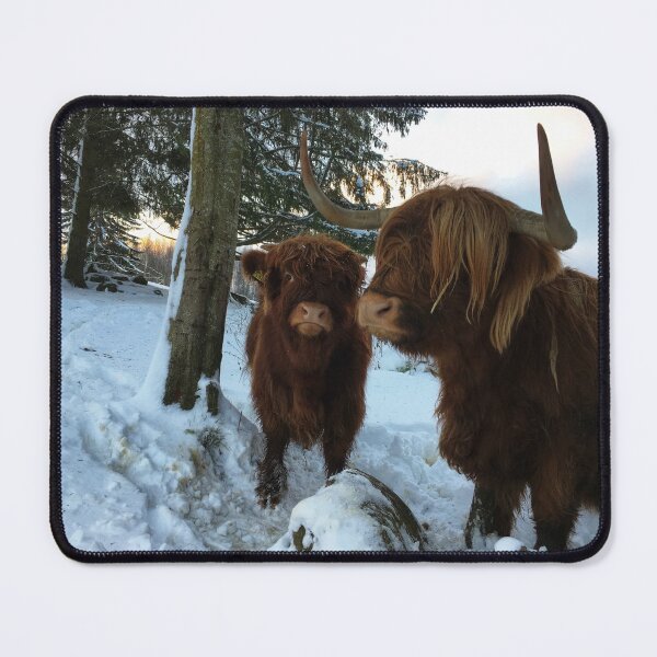 Item preview, Scottish Highland Cattle Cow and Calf 1621 designed and sold by SaarelaHighland.