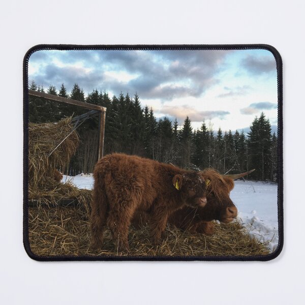 Item preview, Scottish Highland Cattle Cow and Calf 1617 designed and sold by SaarelaHighland.