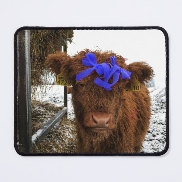 Item preview, Scottish Highland Cattle Calf 1611 designed and sold by SaarelaHighland.