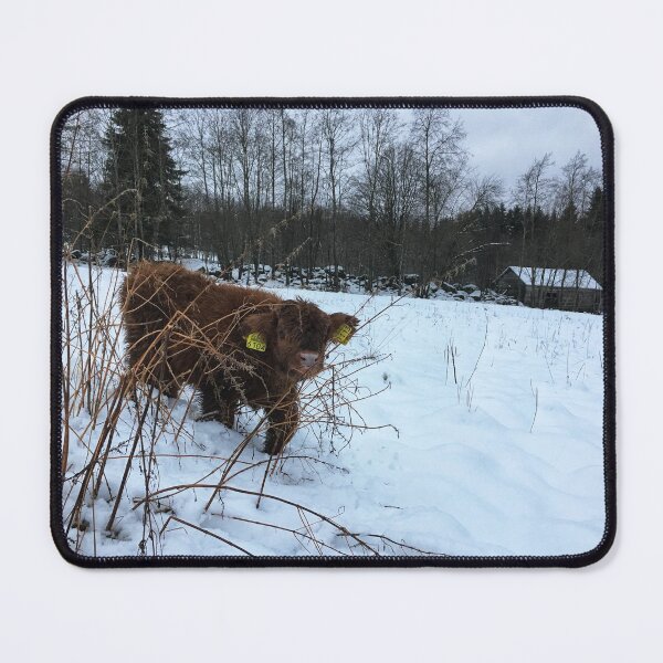 Item preview, Scottish Highland Cattle Calf 1602 designed and sold by SaarelaHighland.