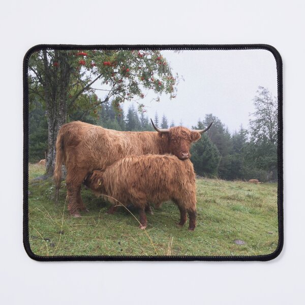 Item preview, Scottish Highland Cattle Cow and Calf 1534 designed and sold by SaarelaHighland.