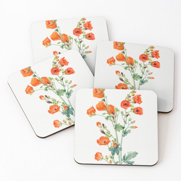 Item preview, Scarlet Globe Mallow (Sphaeralcea grossulariaefolia) (1927) by Mary Vaux Walcott. designed and sold by FindYouByZ.